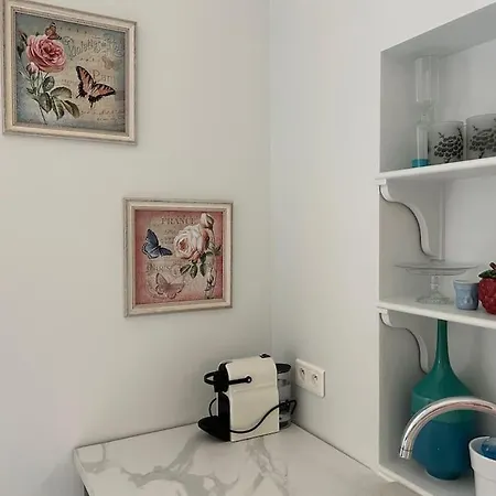 Rossetti Rosa Vieux 2 Bed アパート